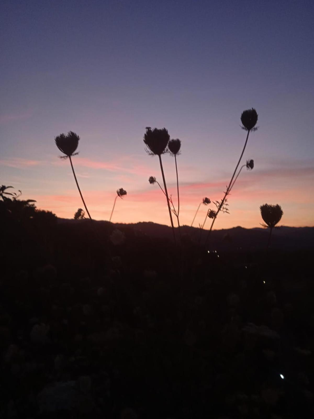 Il Paradiso All'Improvviso Vezzano Ligure Esterno foto