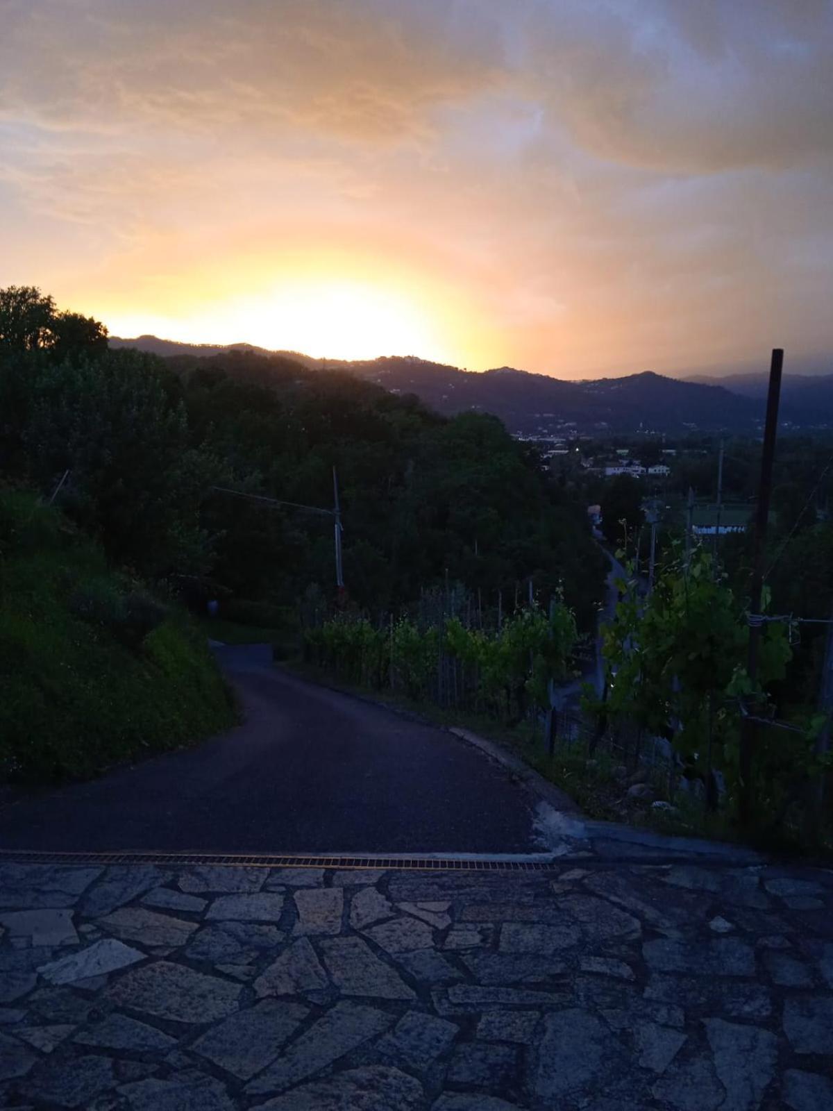Il Paradiso All'Improvviso Vezzano Ligure Esterno foto